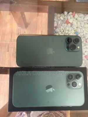 Apple iPhone 13 Pro Max (Used)
