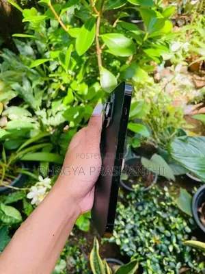 Apple iPhone 14 Pro 256GB (Used)