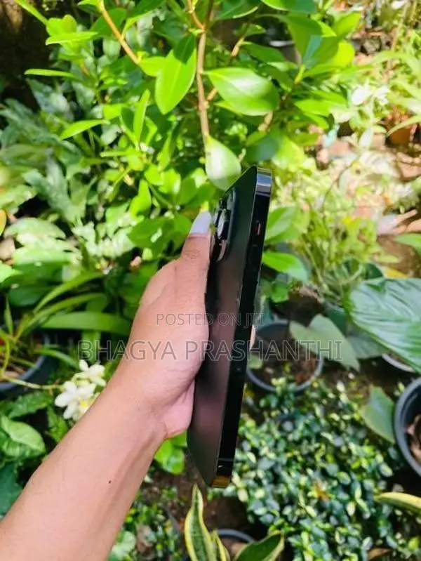 Apple iPhone 14 Pro 256GB (Used)