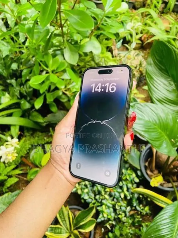 Apple iPhone 14 Pro 256GB (Used)