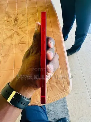 Apple iPhone 13 (Used)