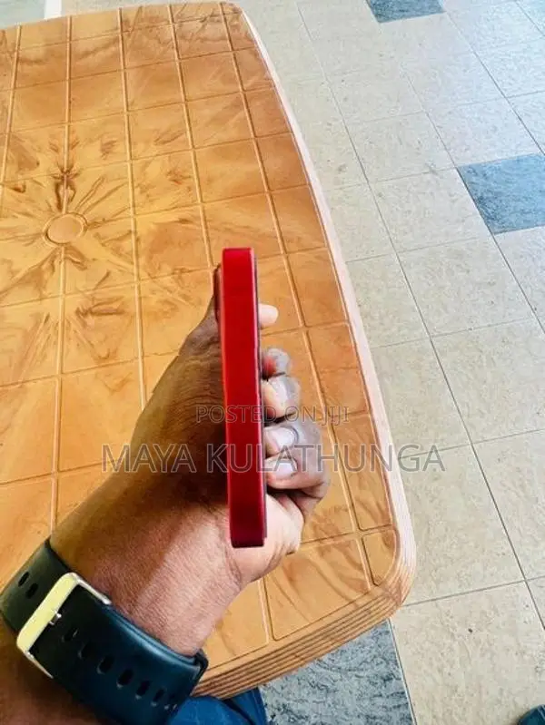 Apple iPhone 13 (Used)