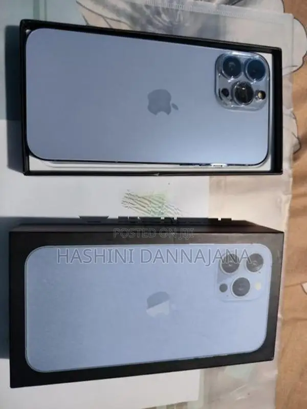 Apple iPhone 13 Pro Max 256GB (Used)