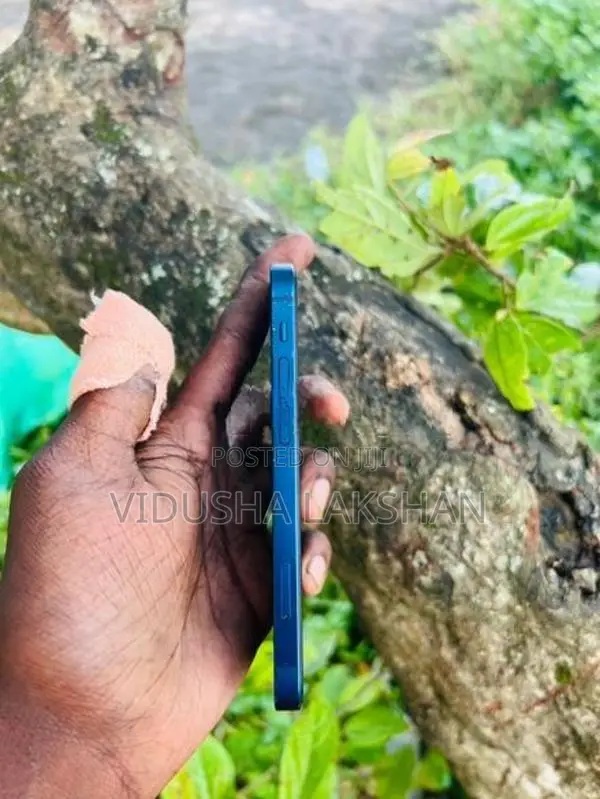 Apple iPhone 12 mini (Used)