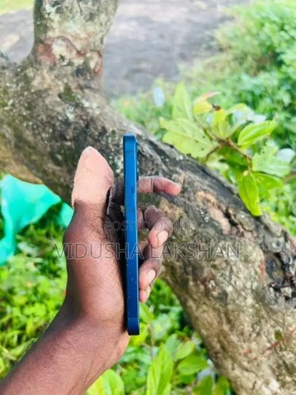 Apple iPhone 12 mini (Used)