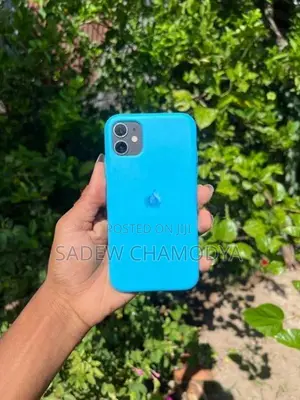 Apple iPhone 11 (Used)