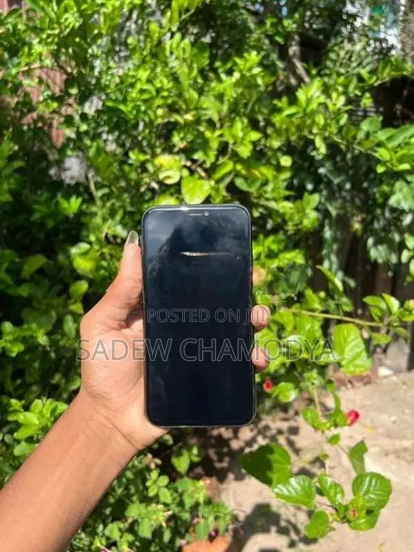 Apple iPhone 11 (Used)