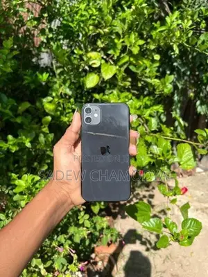 Apple iPhone 11 (Used)