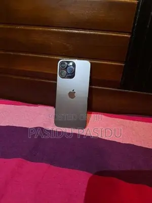 Apple iPhone 14 Pro Max 256GB (Used)