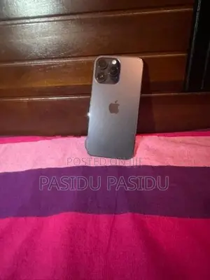 Apple iPhone 14 Pro Max 256GB (Used)