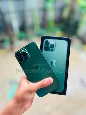 Apple iPhone 13 Pro Max (Used)
