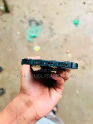 Apple iPhone 13 Pro Max (Used)
