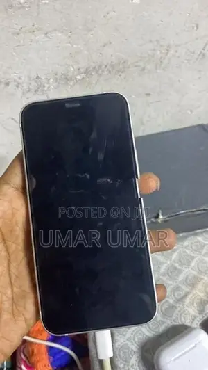 Apple iPhone 12 mini (Used)
