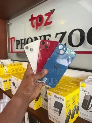 Apple iPhone 13 (Used)
