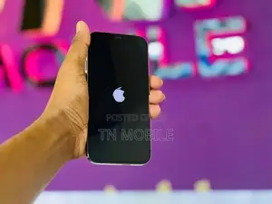 Apple iPhone 12 Pro Graphite 256GB (Used)