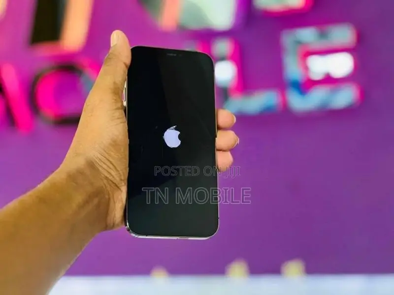 Apple iPhone 12 Pro Graphite 256GB (Used)