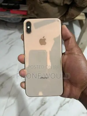 Apple iPhone XS Max (Used)