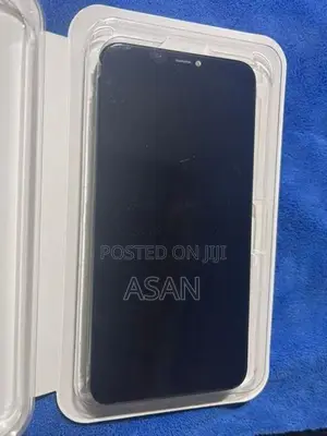 Apple iPhone 11 Pro Max Display