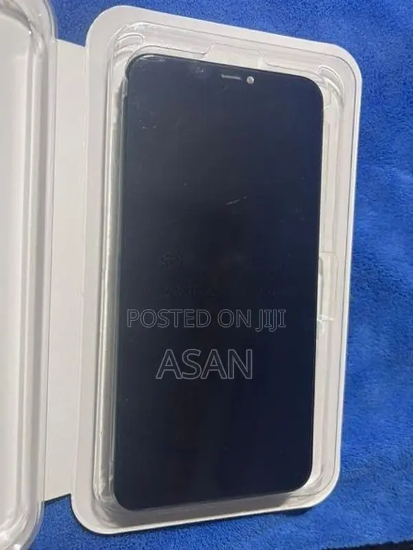 Apple iPhone 11 Pro Max Display