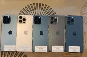 Apple iPhone 12 Pro Max 256GB (Used)