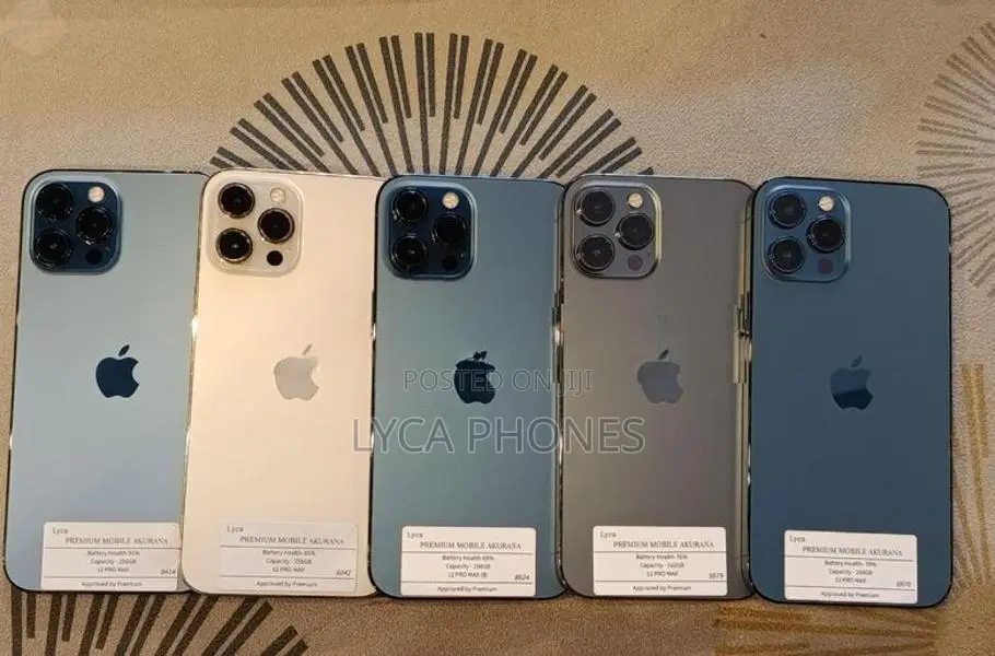 Apple iPhone 12 Pro Max 256GB (Used)