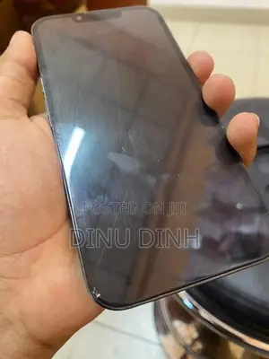 Apple iPhone 13 Pro (Used)