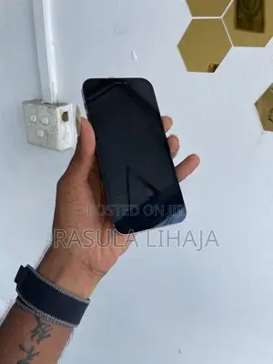 Apple iPhone 12 Pro (Used)