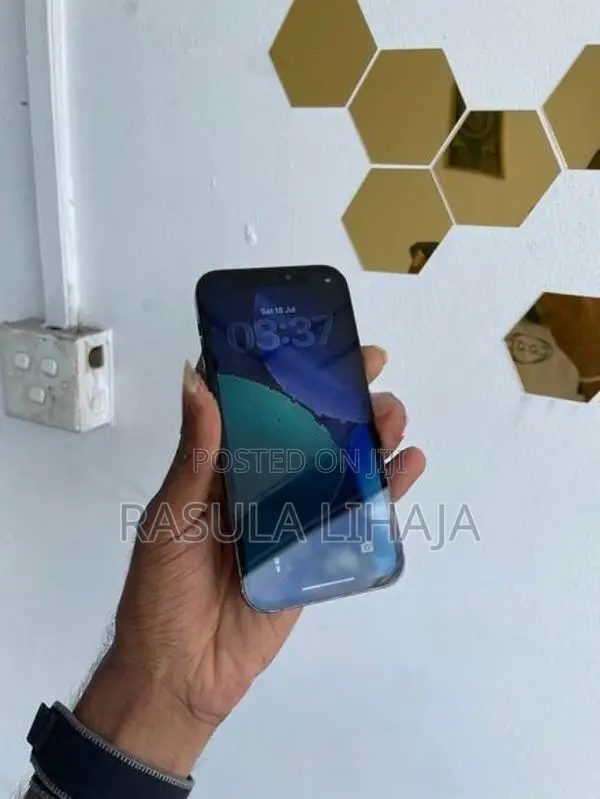 Apple iPhone 12 Pro (Used)