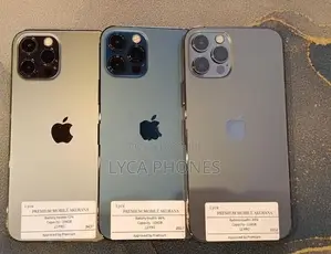Apple iPhone 12 Pro 256GB (Used)