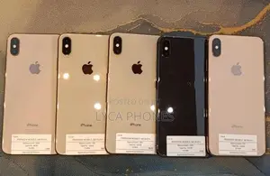 Apple iPhone XS Max 256GB (Used)