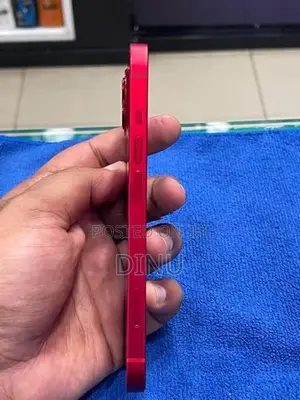 Apple iPhone 13 (Used)