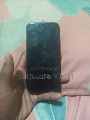 Apple iPhone 12 (Used)