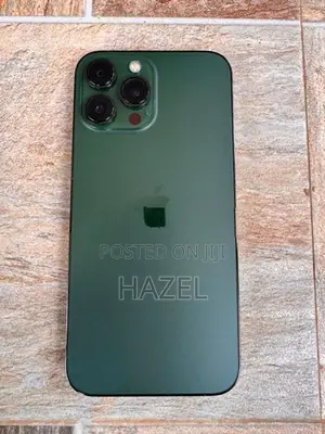 Apple iPhone 13 Pro Max (Used)