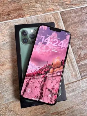 Apple iPhone 13 Pro Max (Used)