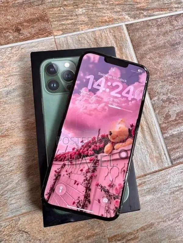 Apple iPhone 13 Pro Max (Used)