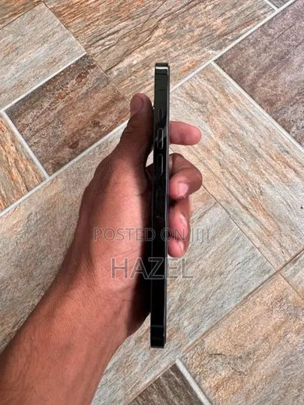 Apple iPhone 13 Pro Max (Used)
