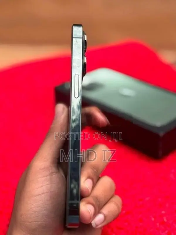 Apple iPhone 13 Pro (Used)