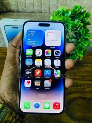 Apple iPhone 14 Pro Max 256GB (Used)