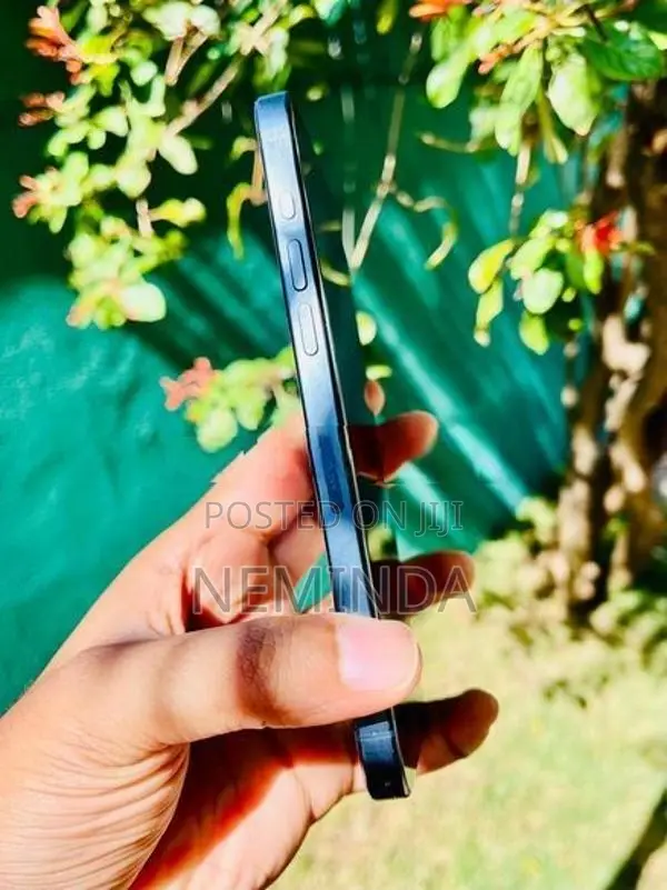 Apple iPhone 15 Pro Max 256GB (Used)