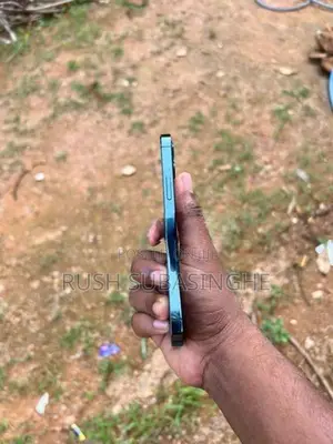Apple iPhone 12 Pro (Used)