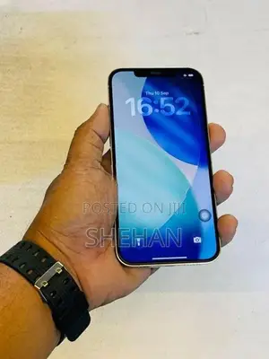 Apple iPhone 12 Pro Max 256GB (Used)