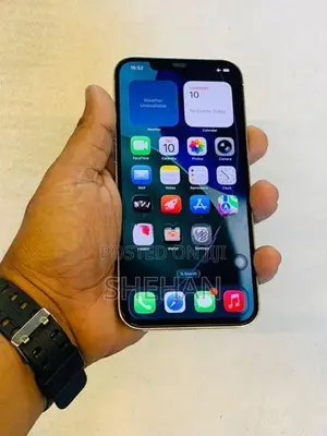 Apple iPhone 12 Pro Max 256GB (Used)