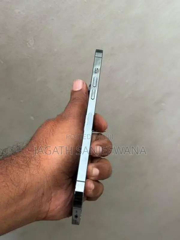 Apple iPhone 12 Pro Max (Used)