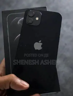 Apple iPhone 12 (Used)