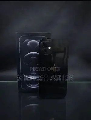 Apple iPhone 12 (Used)