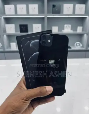 Apple iPhone 12 (Used)