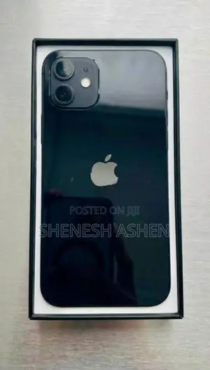 Apple iPhone 12 (Used)