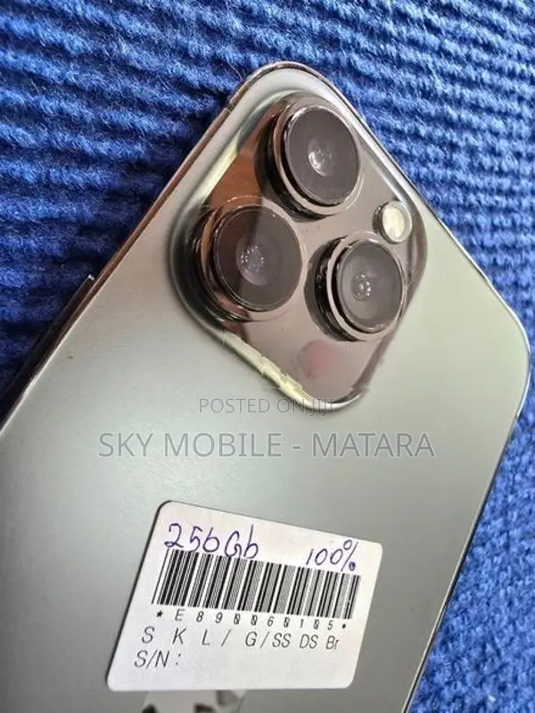Apple iPhone 13 Pro Max 256GB (Used)