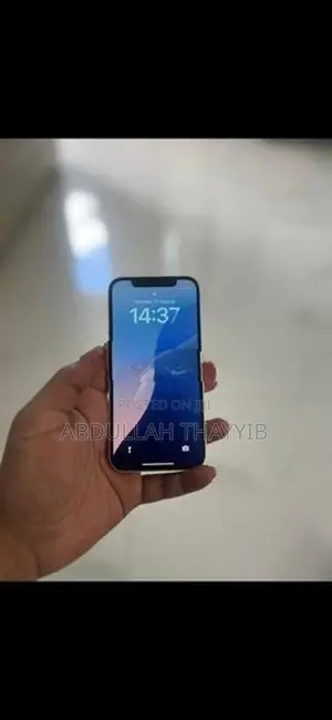 Apple iPhone 12 (Used)