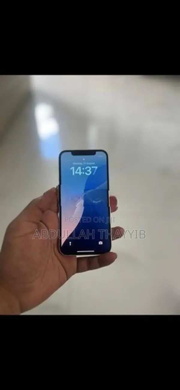 Apple iPhone 12 (Used)